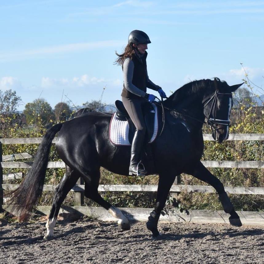 Laura Jarvis - Nottingham - Dressage Rider